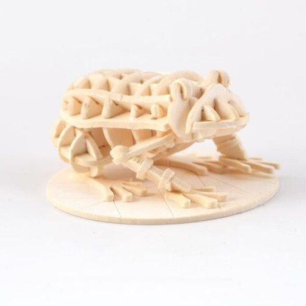 Handmade Three-Dimensional Model-Frog