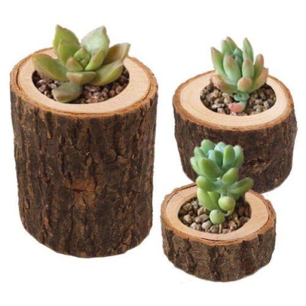 Succulent Flower Pots Semihandmade